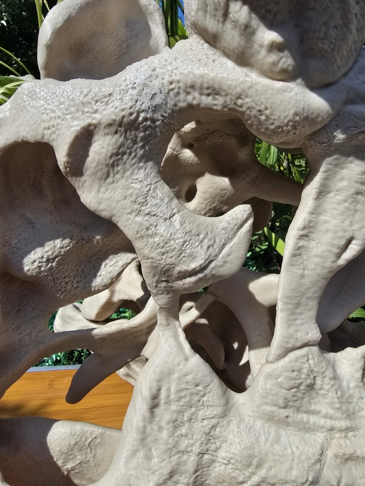 Life-size CARNOTAURUS skull Replica, Fossil