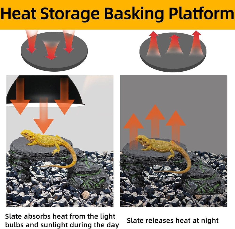 Bearded Dragon Basking Platform, Turtle Basking Platform Decorative