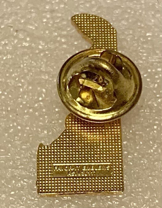 Delaware Souvenir Lapel/Hat Pinback