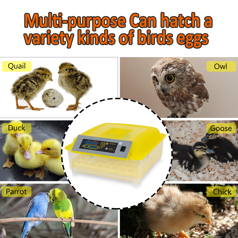 48 Digital Egg Incubator Hatcher Automatic Egg Turning Temperature Control USA