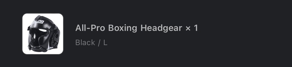 Flying All Boxing Pro Headgear Large