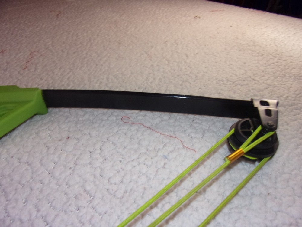 Bear Apprentice Youth Compound Bow