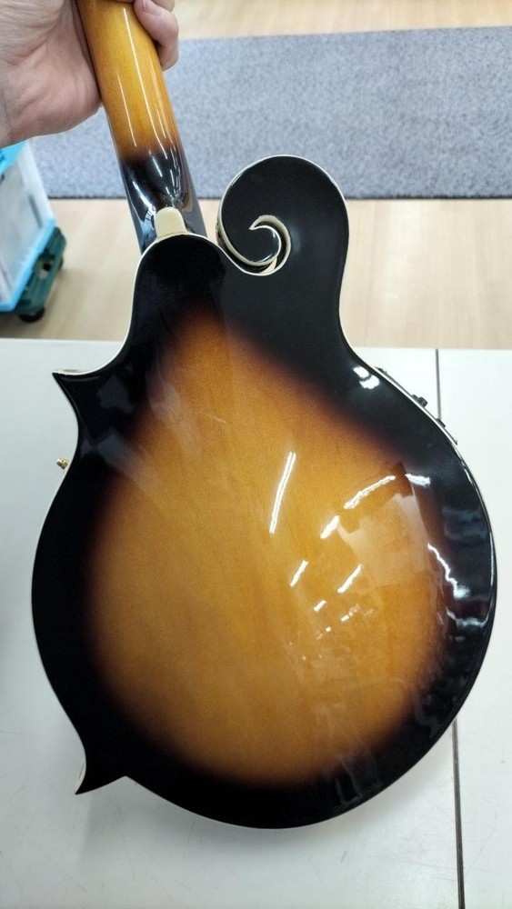ORTEGA RMFE90TS Mandolin