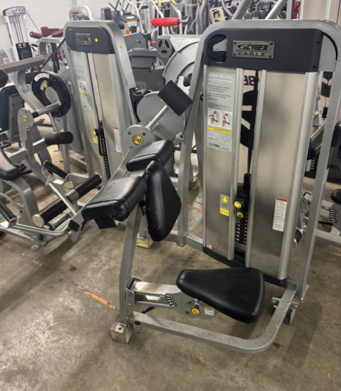 Cybex | Eagle Arm Curl