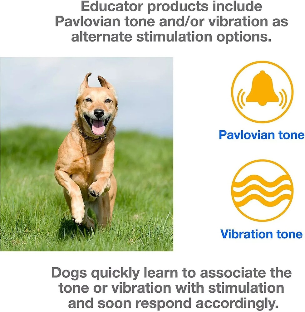 E-Collar EZ-900/902 Easy Educator Replacement TRANSMITTER ONLY in Orange