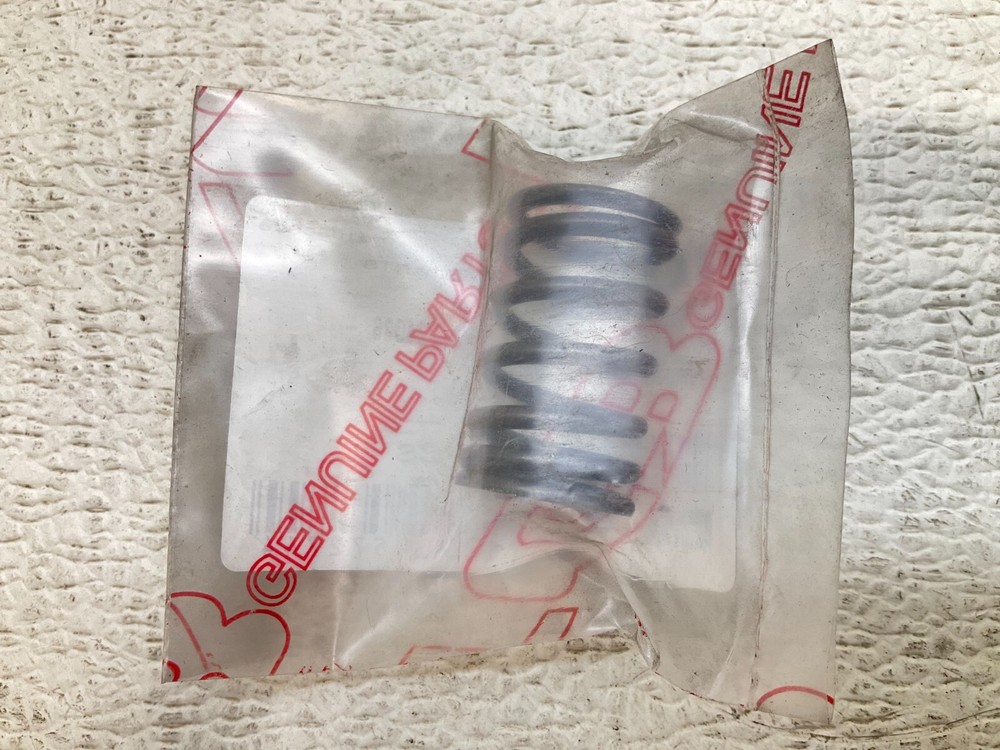 TGB 924026 Valve Outer Spring New (TSC)
