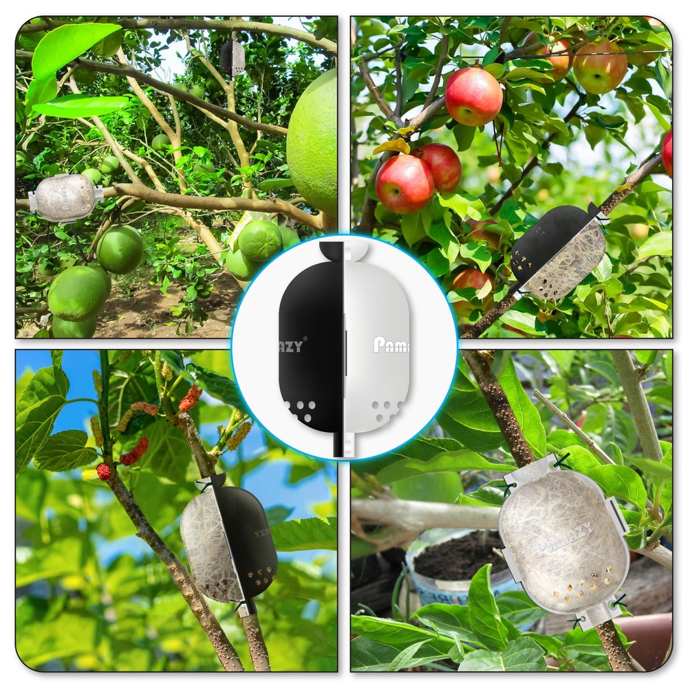 [Upgraded] 9Pcs Tree Root Growing Box with Drain Holes, Half Transparent Plan...
