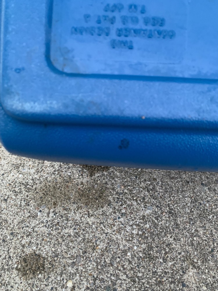 Playmate By Igloo Blue and White Cooler