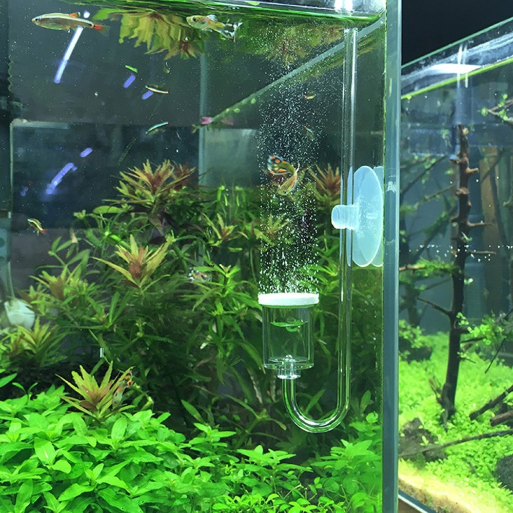 Fish Tank Accessory Carbon Dioxide Diffuser Aquarium Accessories