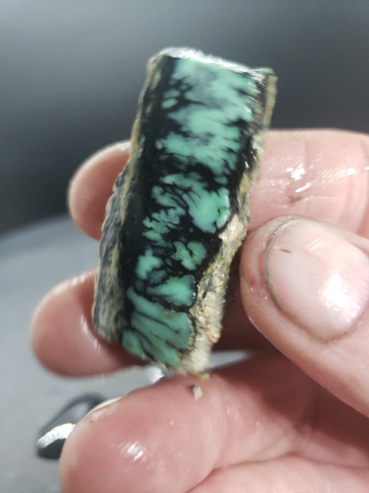 Nevada Saguaro Variscite Slab