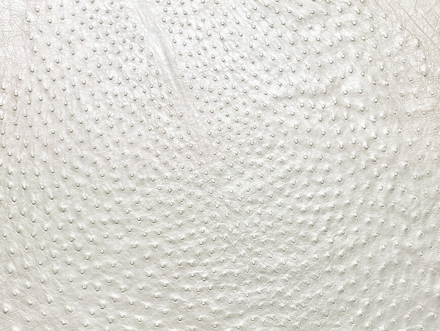 Ostrich Leather skin Pearl White