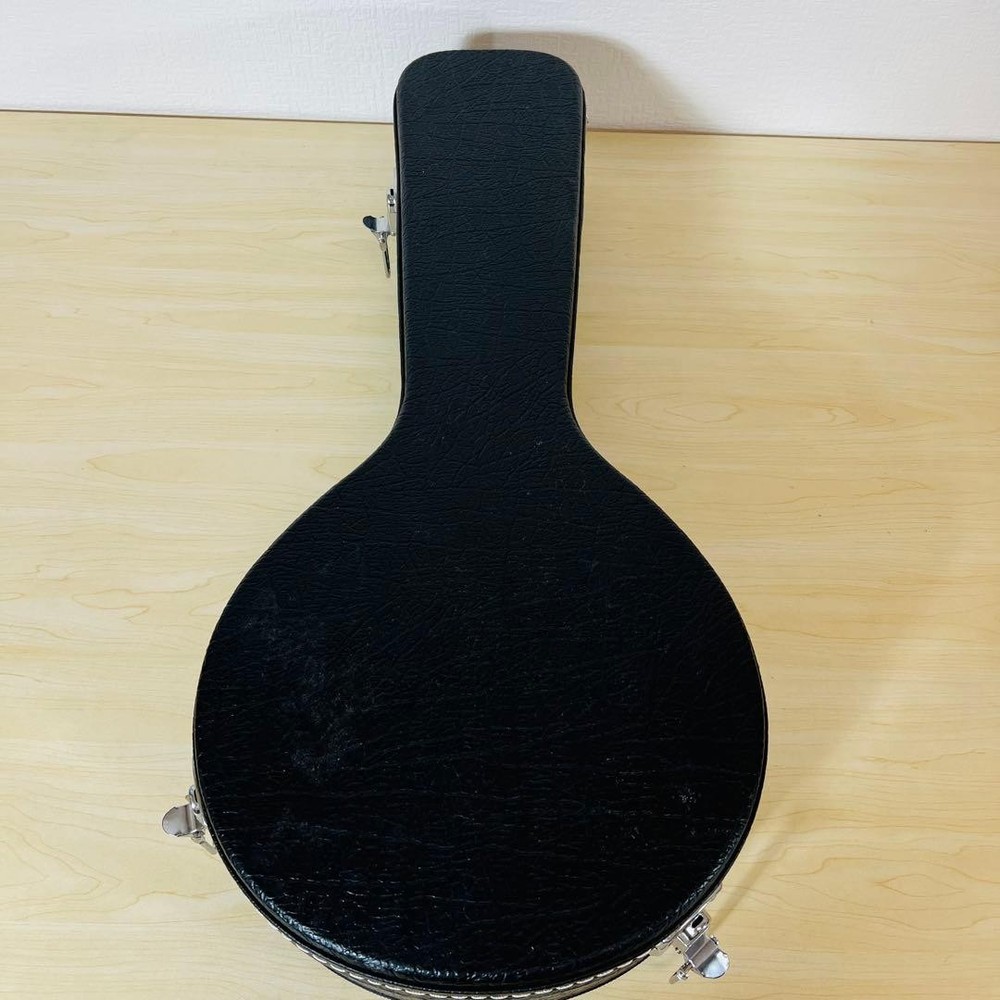 ARIA AM-20 Mandolin 8 string with hard case