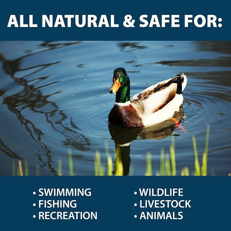 Natural Pond Water Clarifier Bacteria Enzyme Packets EcoBoost Clear Solution New