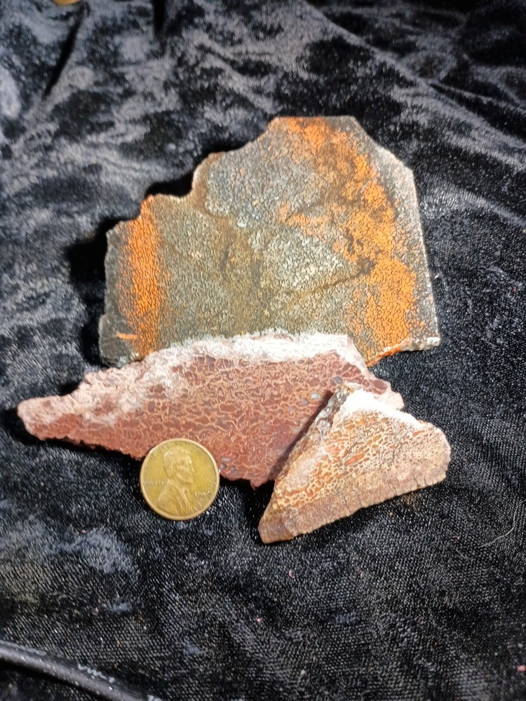 Dinosaur Bone Slabs Utah Rough 125 grams