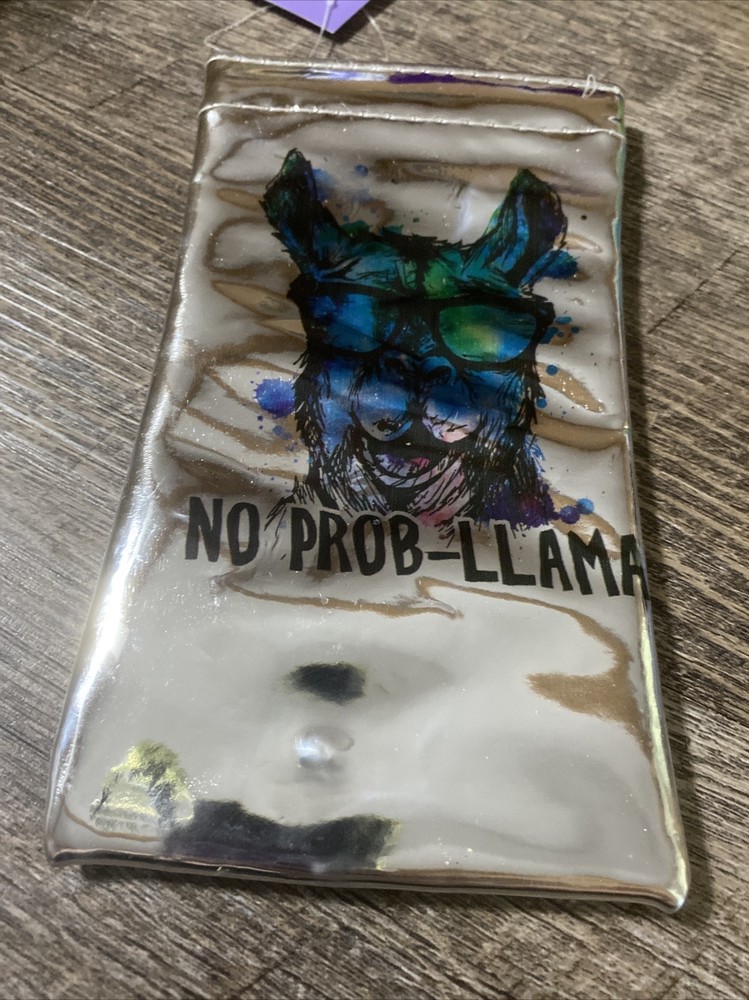 Claire’s rainbow No Problem llama sunglasses Silver holder Case Nwt
