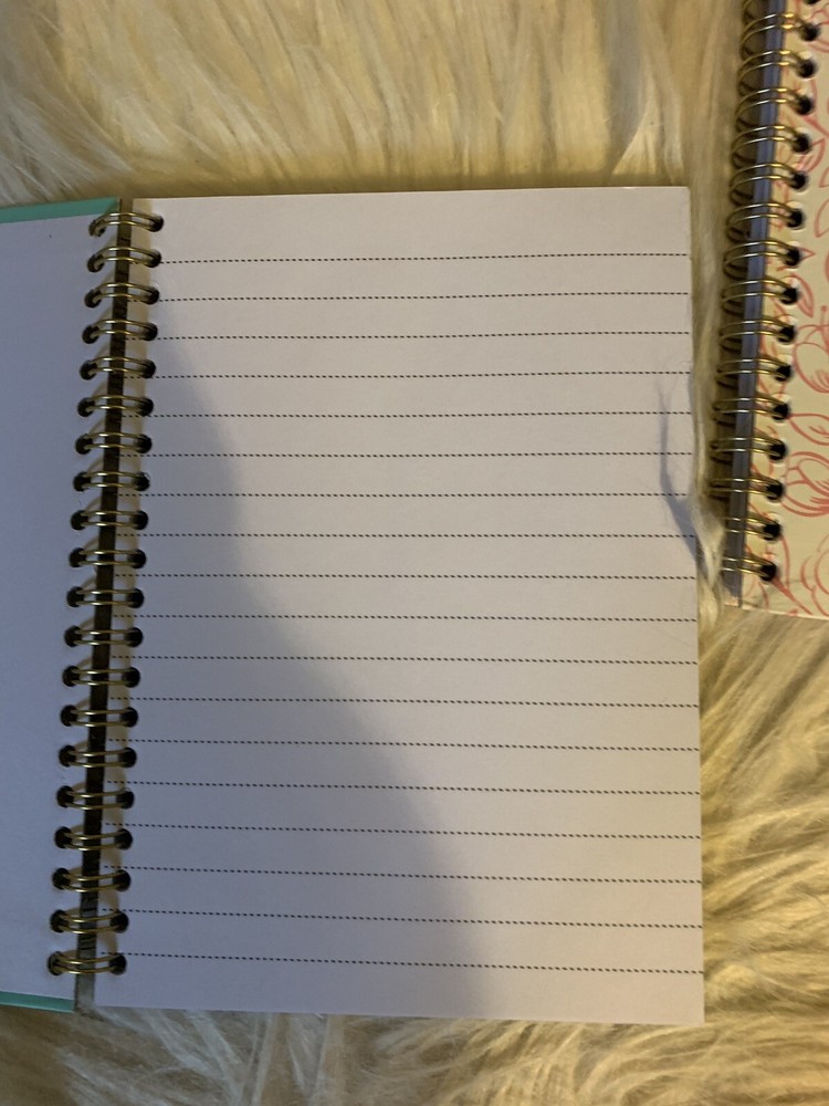 Set Of 2 Notebooks/journal, New