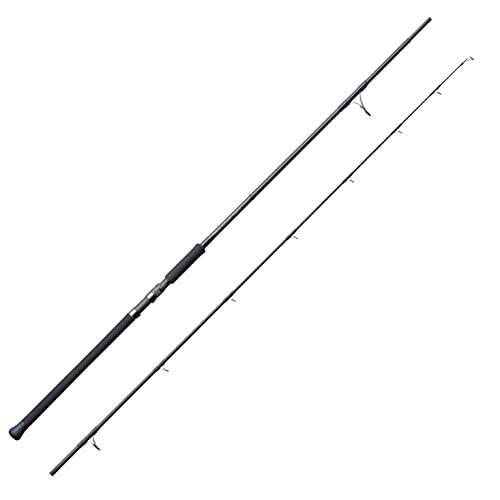 TENRYU POWER MASTER PM1002S-HP Spinning Rod