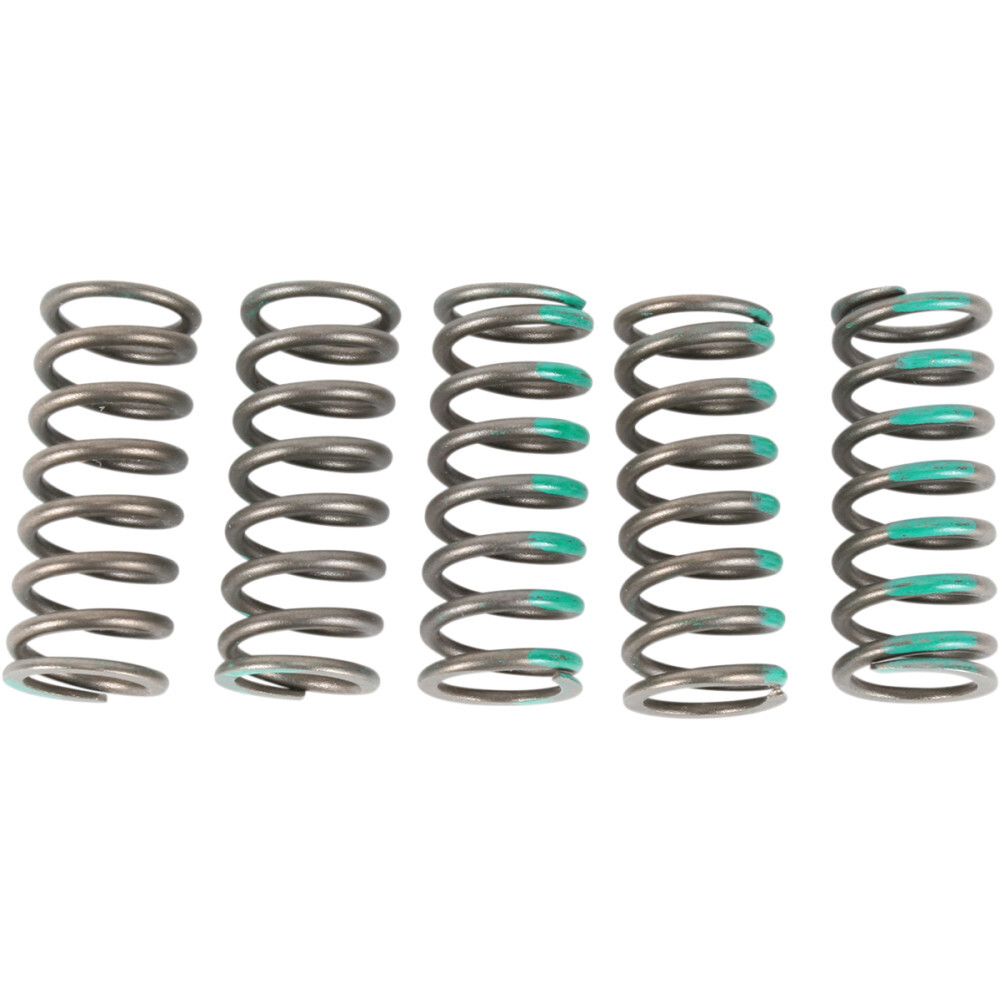 Pro Circuit Clutch Spring Set | CSK09450-CS