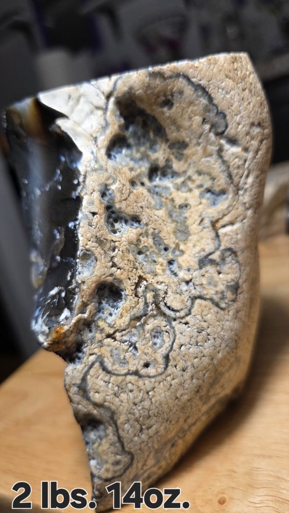 Montana Agate Rough 2lbs. 11oz.