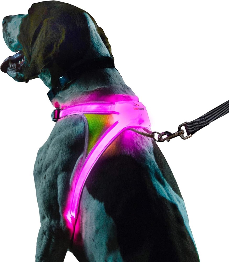 LED Dog Harness Reflective USB Rechargeable Adjustable Rainproof Large