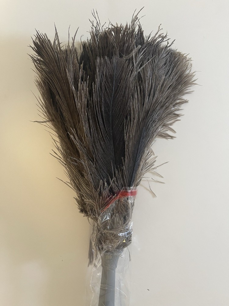 Bird Feather Duster