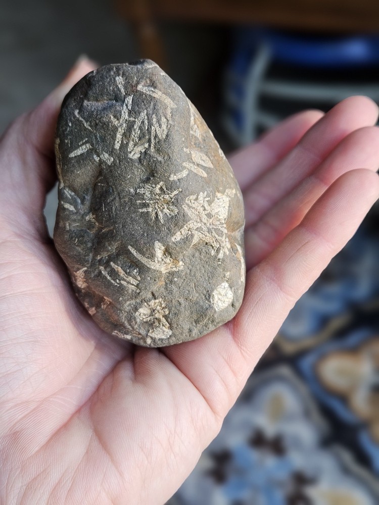 Natural and Raw Calligraphy Stone From Illinois Left As Found