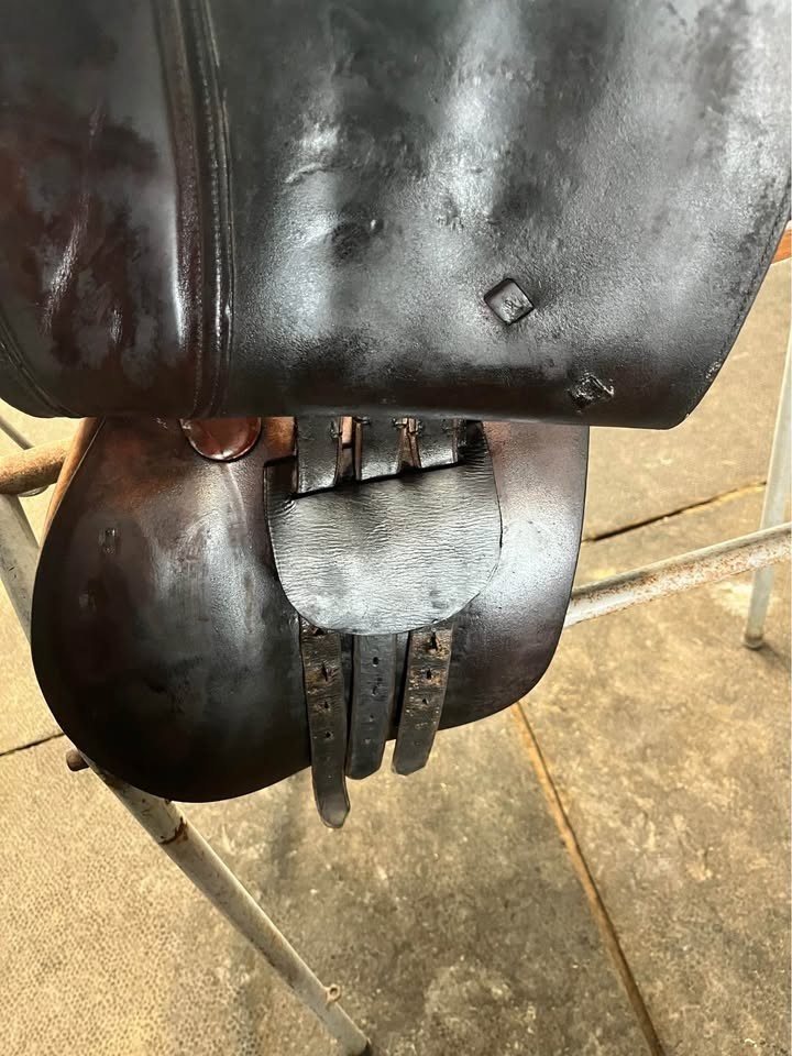 16" Beval Limited CC Saddle