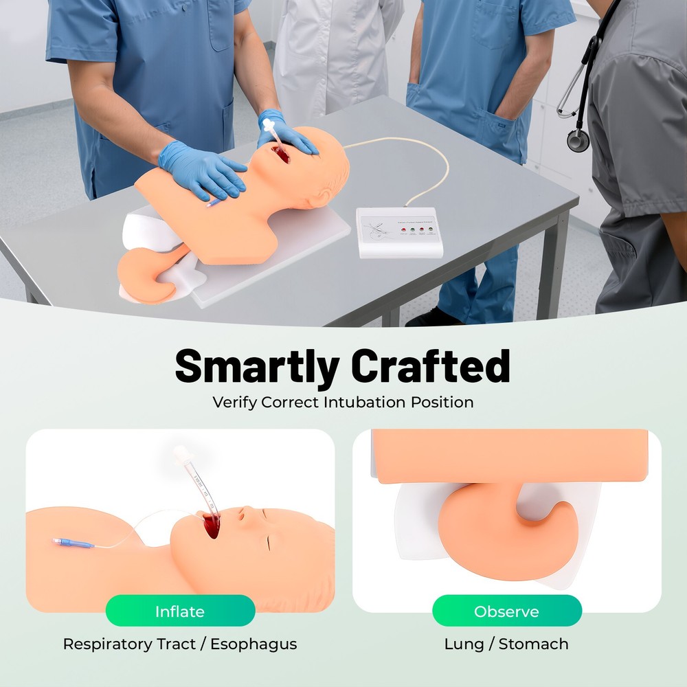 Intubation Model Lab Intubation Airway Management Training Model Teaching Model