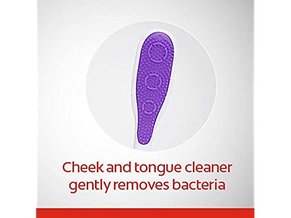 Colgate 360 Adult Toothbrush (Soft | Extra Soft | Medium)