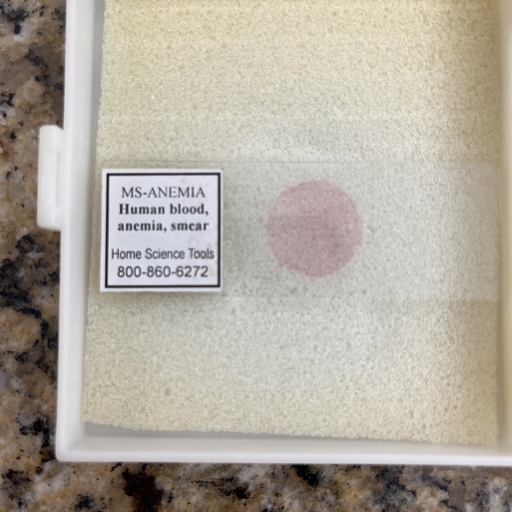 Learning Resources & Home Science Tools Lot Prepared & Blank Slides 60 Specimens