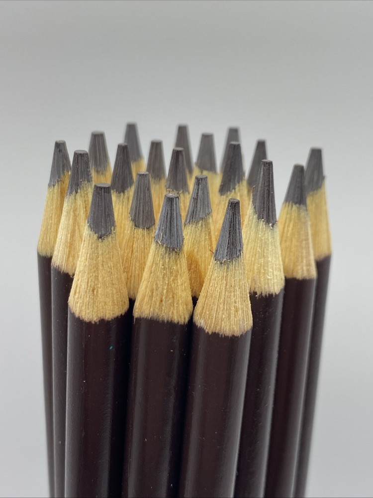 (20) Crayola Colored Pencils  (beaver) BULK