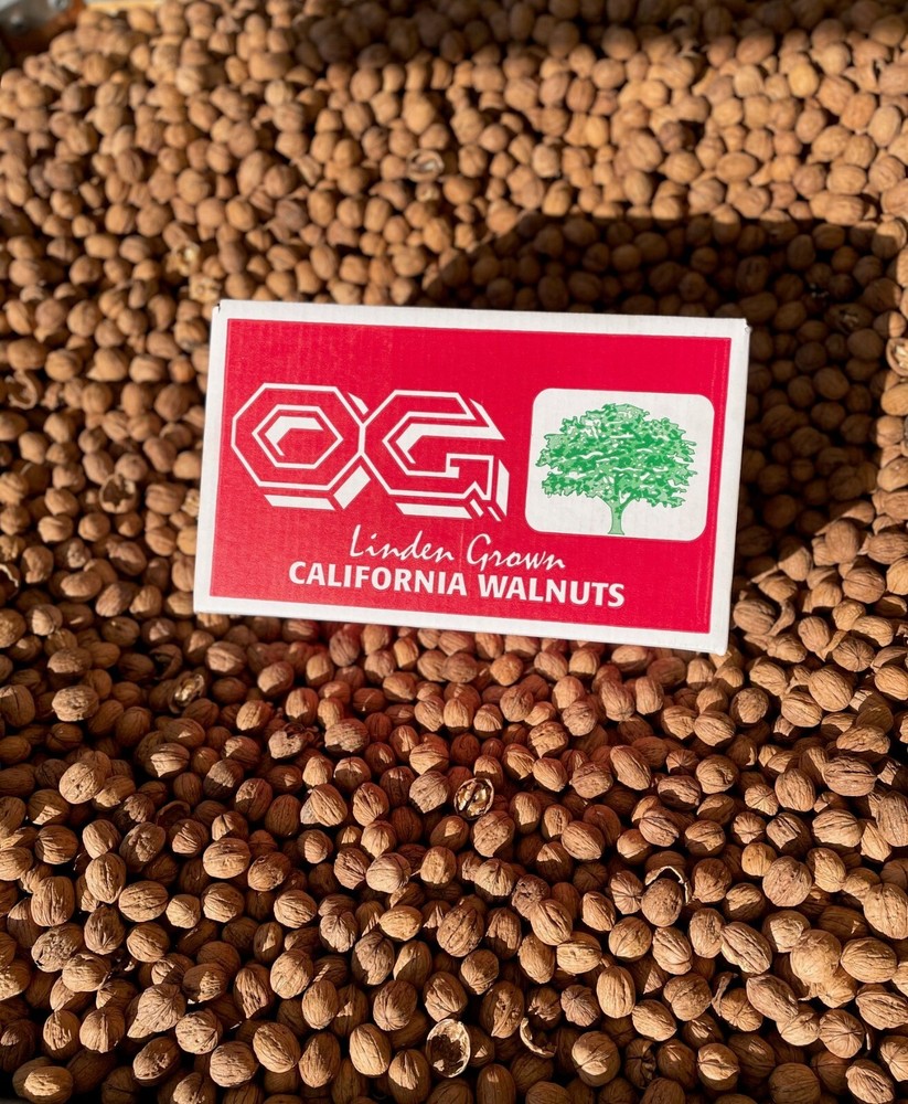 2025 Fresh Crop Shelled Walnuts - 5 lbs