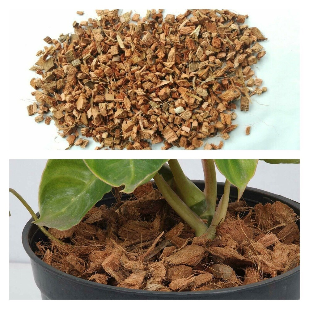 Coconut Husk dry chips 100% Natural Clean Organic.