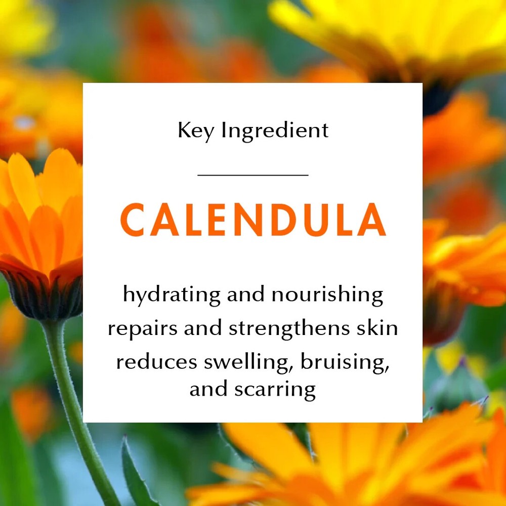 Calendula Herbal Balm – Moisturize & Soothe