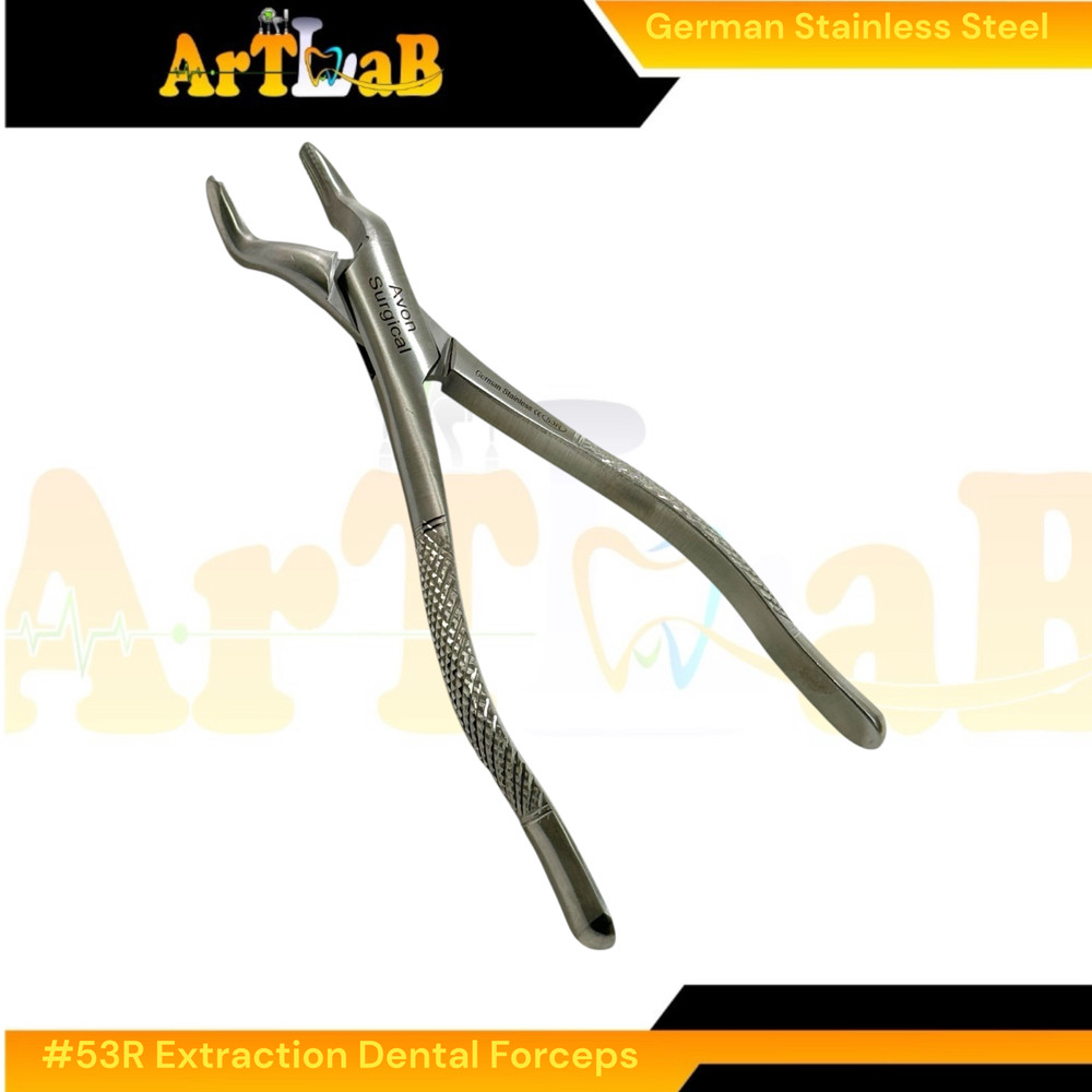 Right Upper First & Second Molar Extraction Forceps #53R, Serrated, 1pc