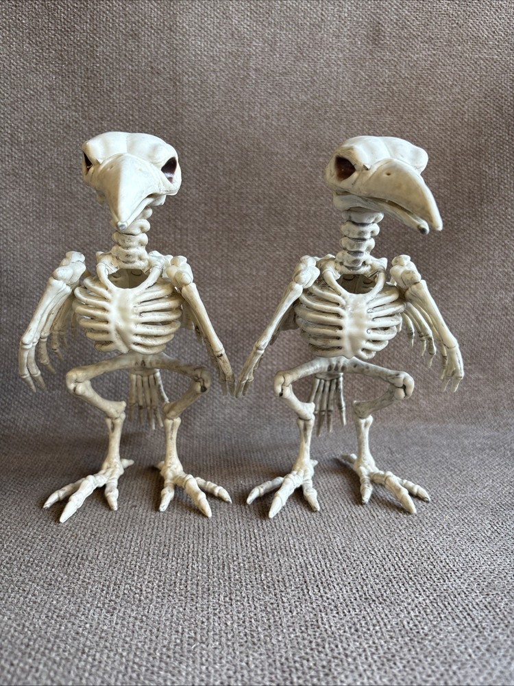 Two Halloween Crow Skeleton Tabletop Bird Bones Decoration