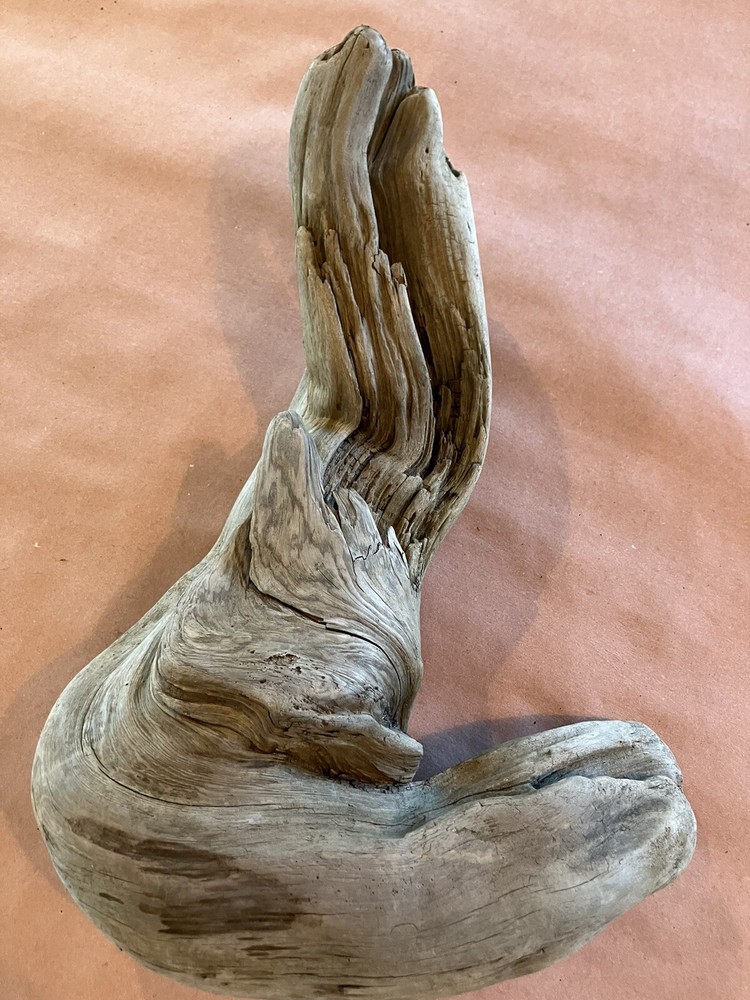 Beautiful Driftwood