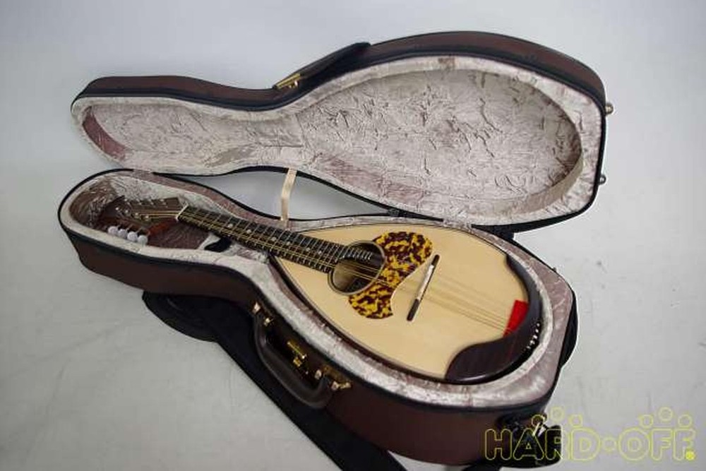 Miyano M-1 Mandolin-01