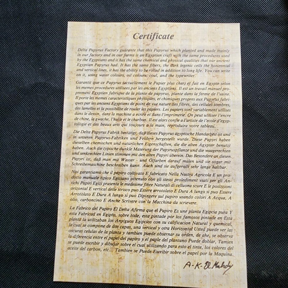 Hand Painted Authentic Ancient Egyptian Papyrus Replica From Temple Walls Signed