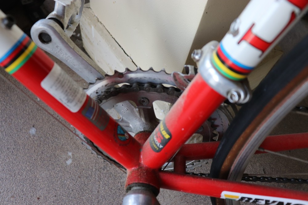 Lemond Reynolds Bicycle Racing