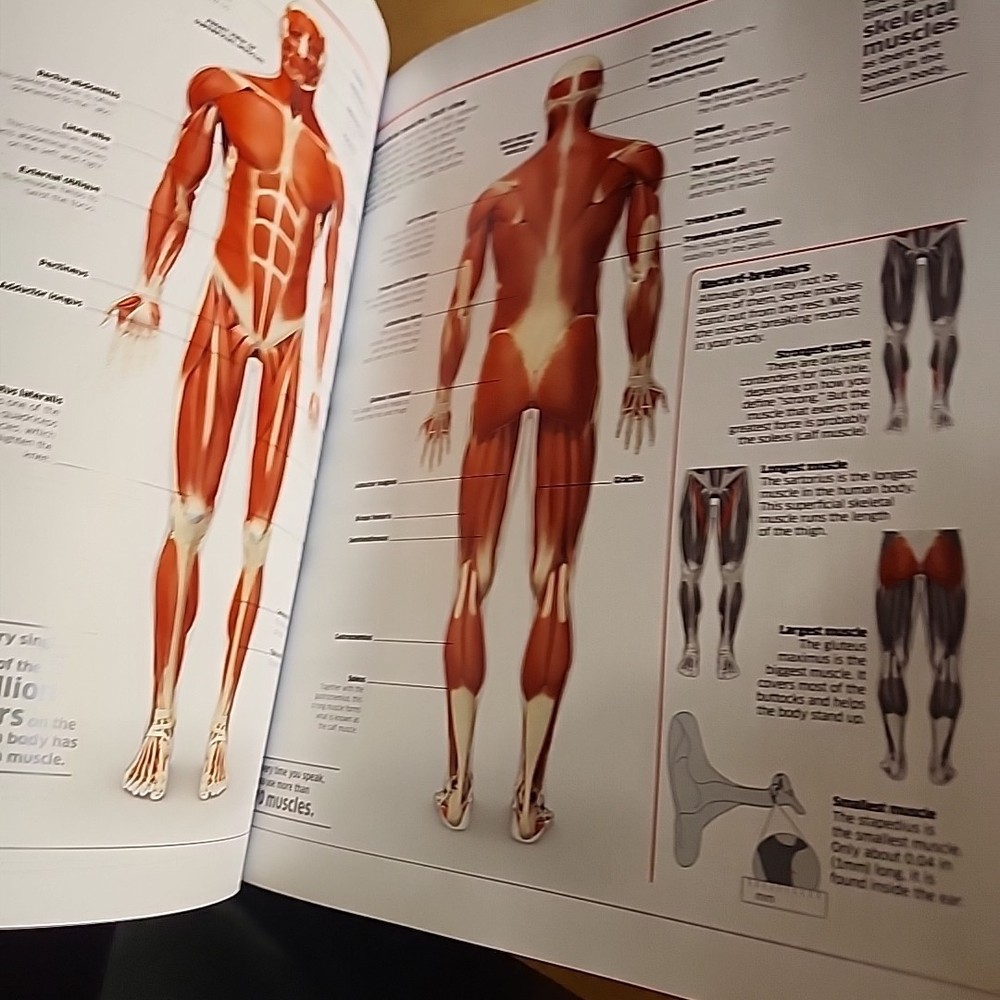 Abacus Brands Virtual Reality Human Body Learning Activity Set VR Goggles