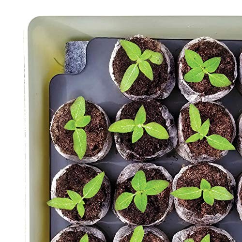 Seed Starter Tray Kit - Self-Watering, High Germination Rate, Seedling 2 Pack