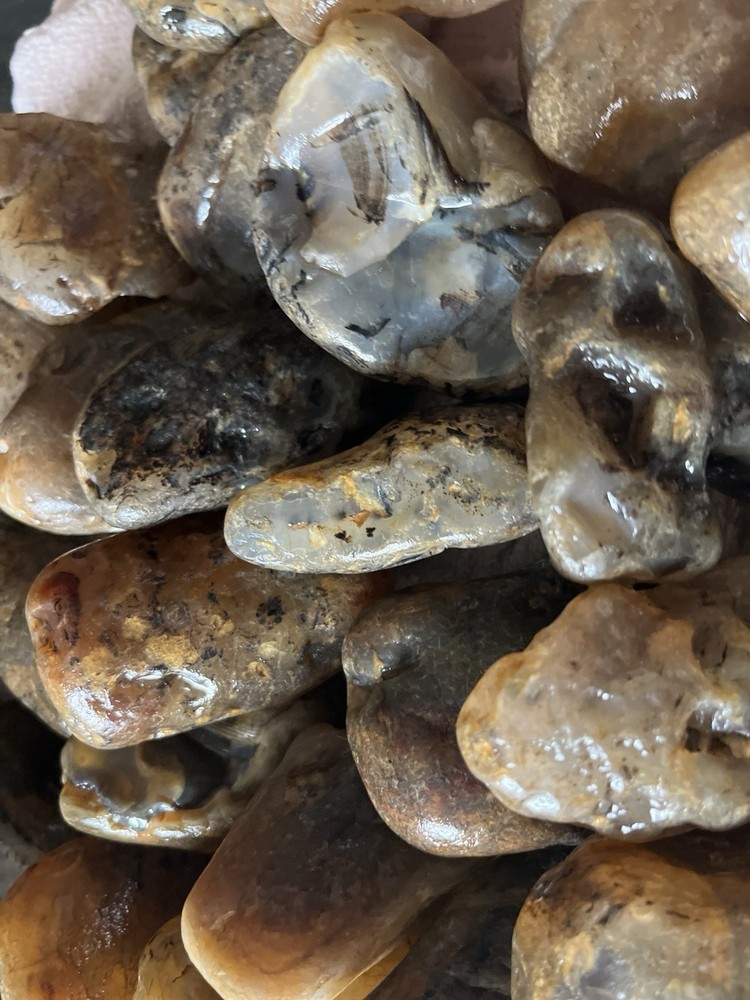 27 Lbs. Rough Montana Agate (46)