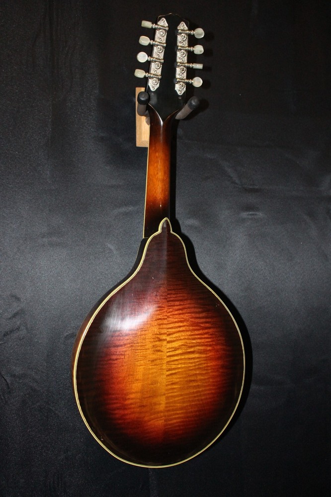 Wayne Henderson John Cephas Mandolin
