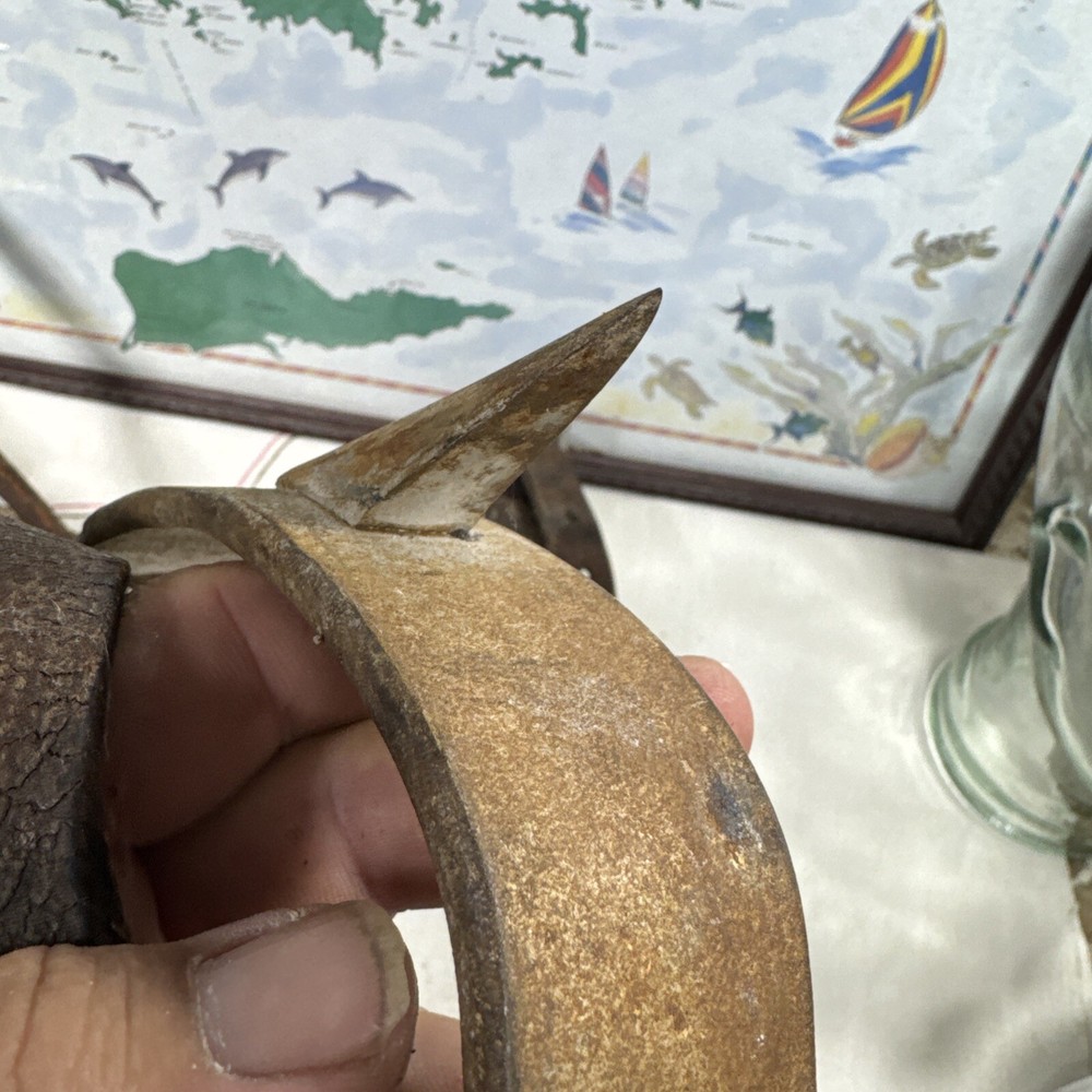 Vintage Pair Tree Pole Climbing Gaffs Spikes Adjustable