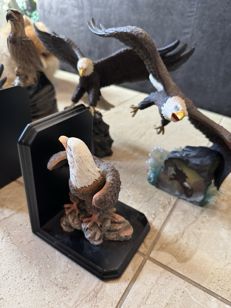 Sets Of 5 Eagles Beautiful Collection