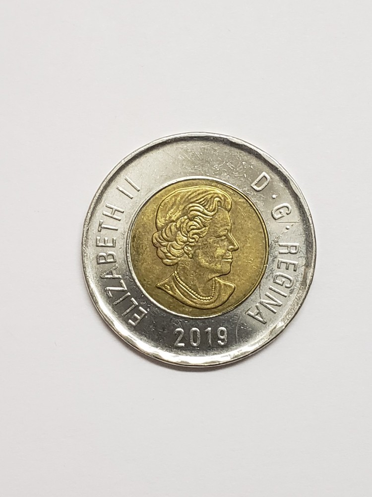 Crack Error Canada 2019 $2 - Polar Bear - 14 Serrations - Toonie - Cracked