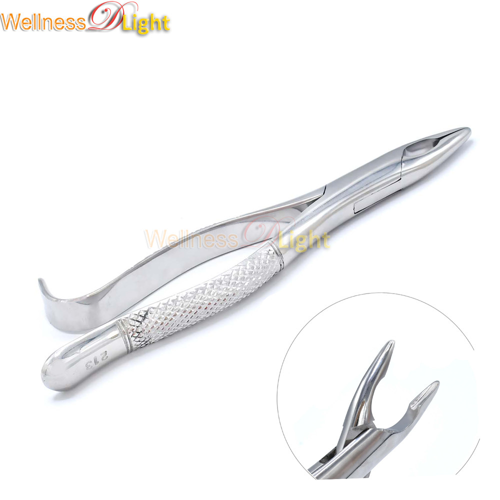 1 Piece Of  TOOTH EXTRACTION FORCEPS #213 Dental Instruments