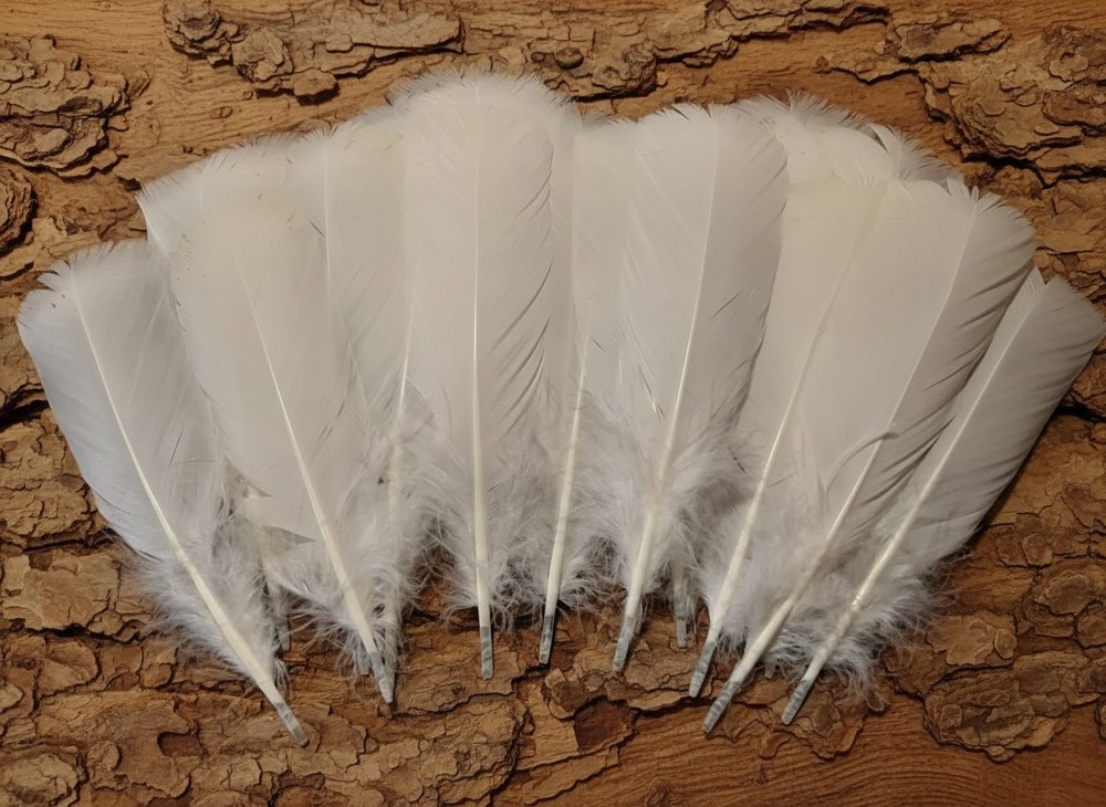 20 Pcs White Turkey Pre-Tail Feathers, Fly Tying Materials,Small Tails