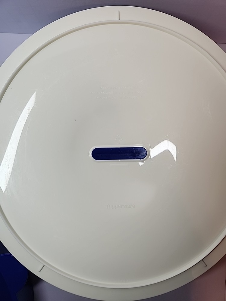 Vintage Tupperware Microsteamer White & Blue Microwave Cooker Steamer